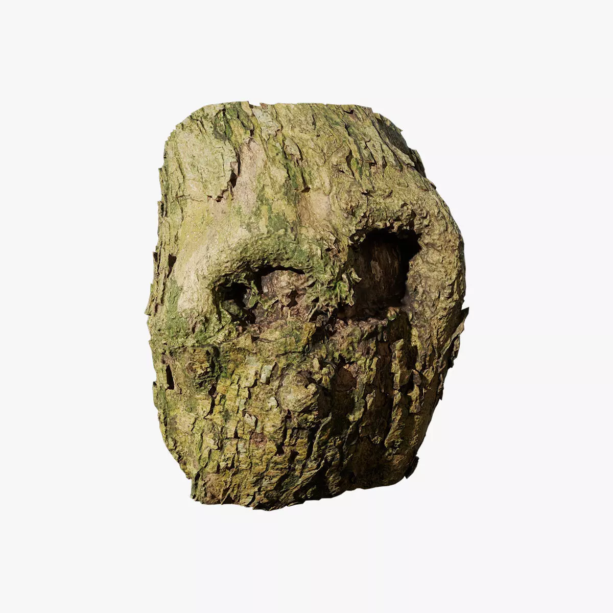 Anydrafts Lindera megaphylla Burl 02 Low-poly 3D model_0