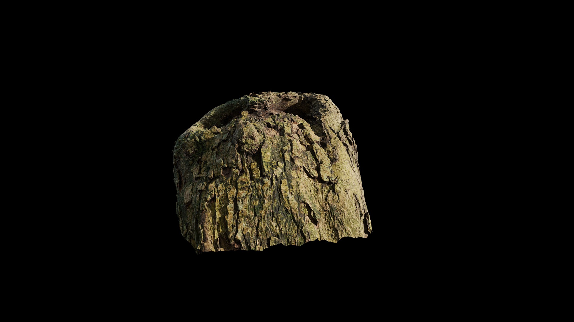 Anydrafts Lindera megaphylla Burl 02 Low-poly 3D model_7