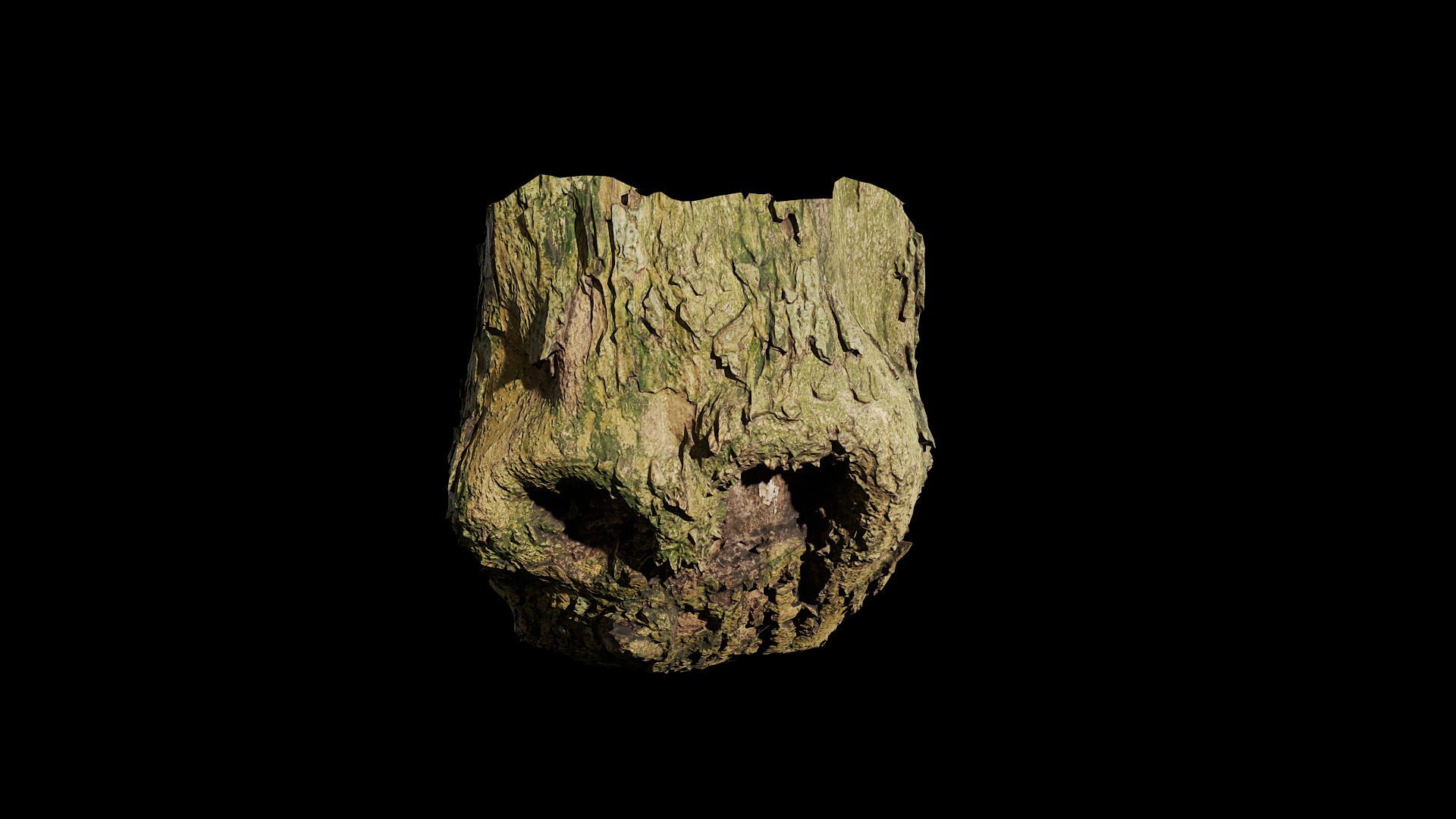 Anydrafts Lindera megaphylla Burl 02 Low-poly 3D model_6