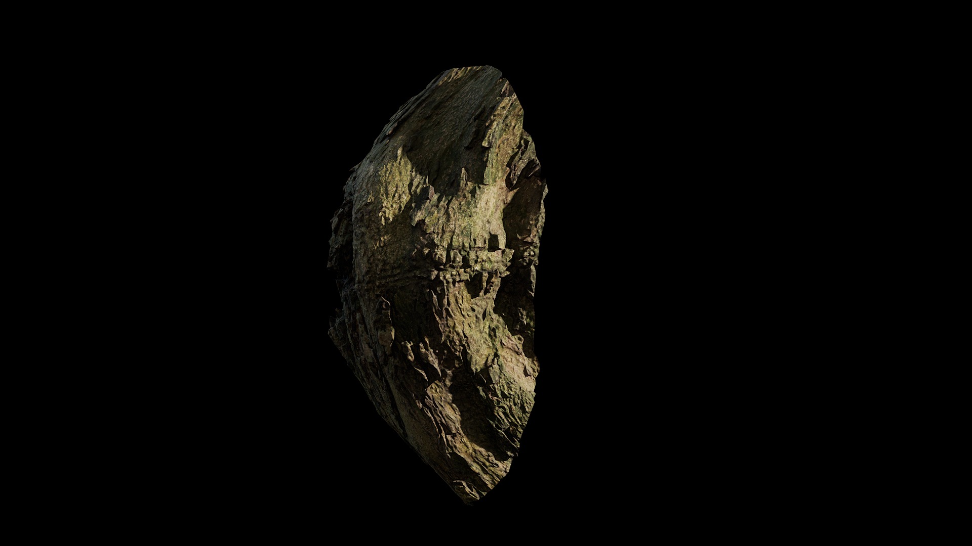 Anydrafts Lindera megaphylla Burl 02 Low-poly 3D model_5