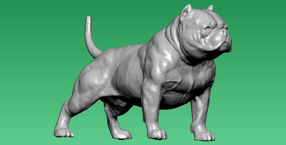 American Bully Dog model - 3D print 3D print model_1