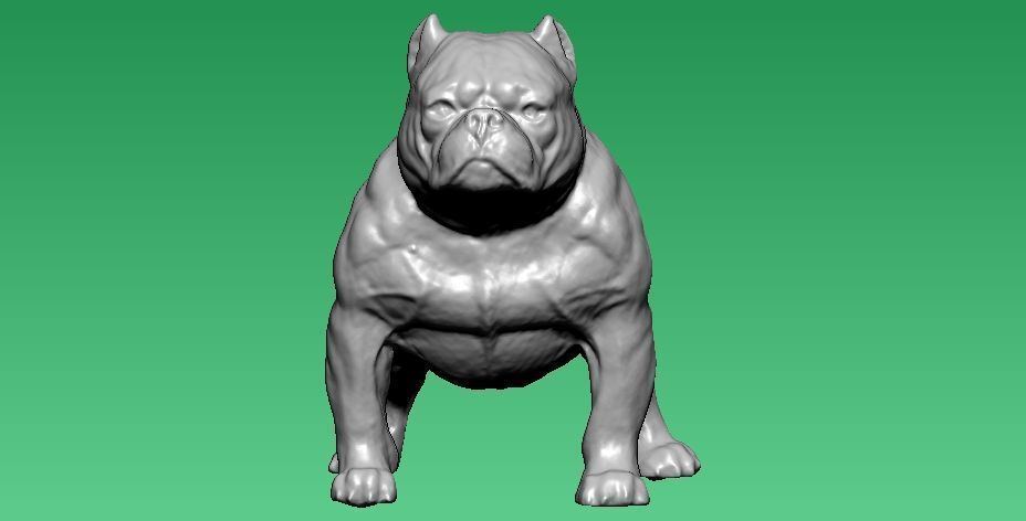 American Bully Dog model - 3D print 3D print model_2