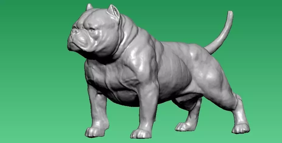 American Bully Dog model - 3D print 3D print model_0