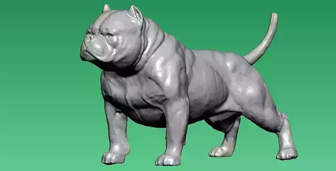 American Bully Dog model - 3D print