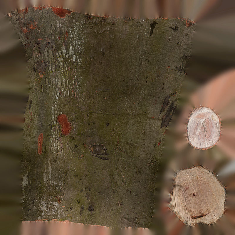 Anydrafts Log 02 Low-poly 3D model_1