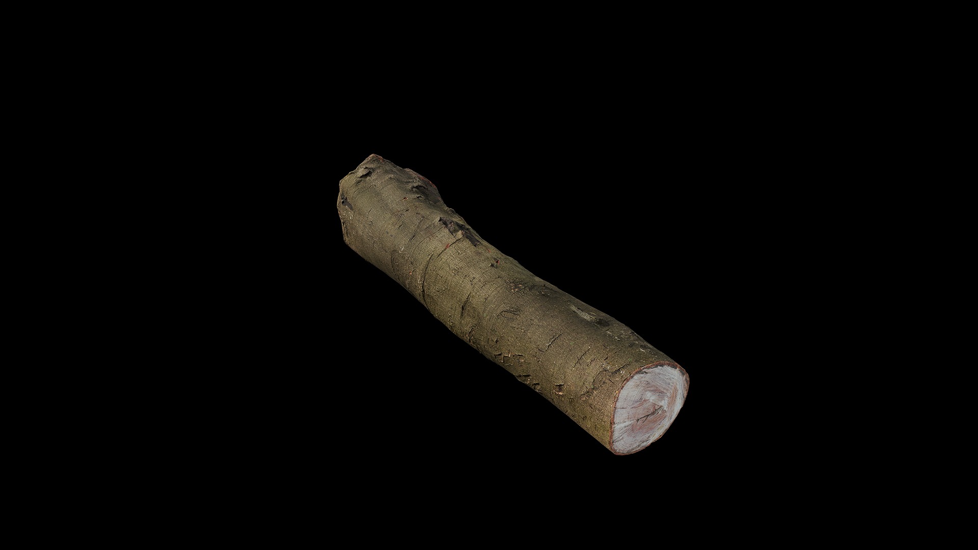 Anydrafts Log 02 Low-poly 3D model_6