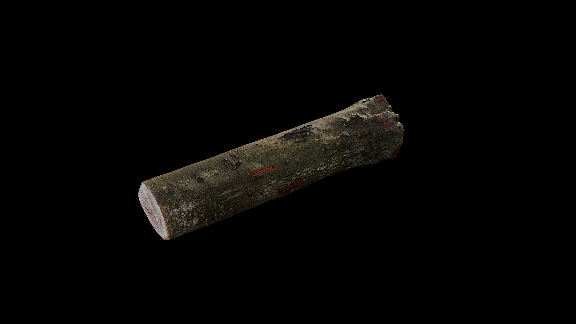 Anydrafts Log 02 Low-poly 3D model_2