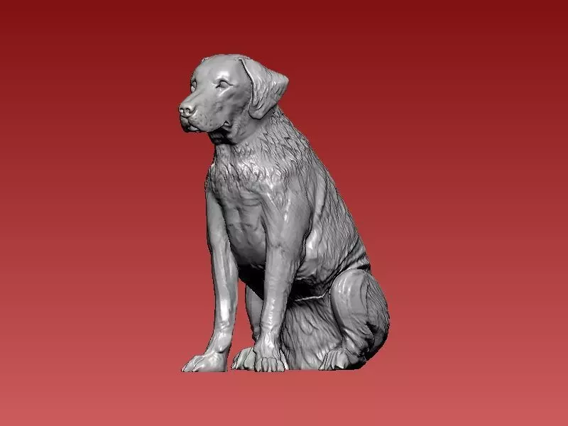 Greyhound - Boerboel Dog - 3D print 3D print model