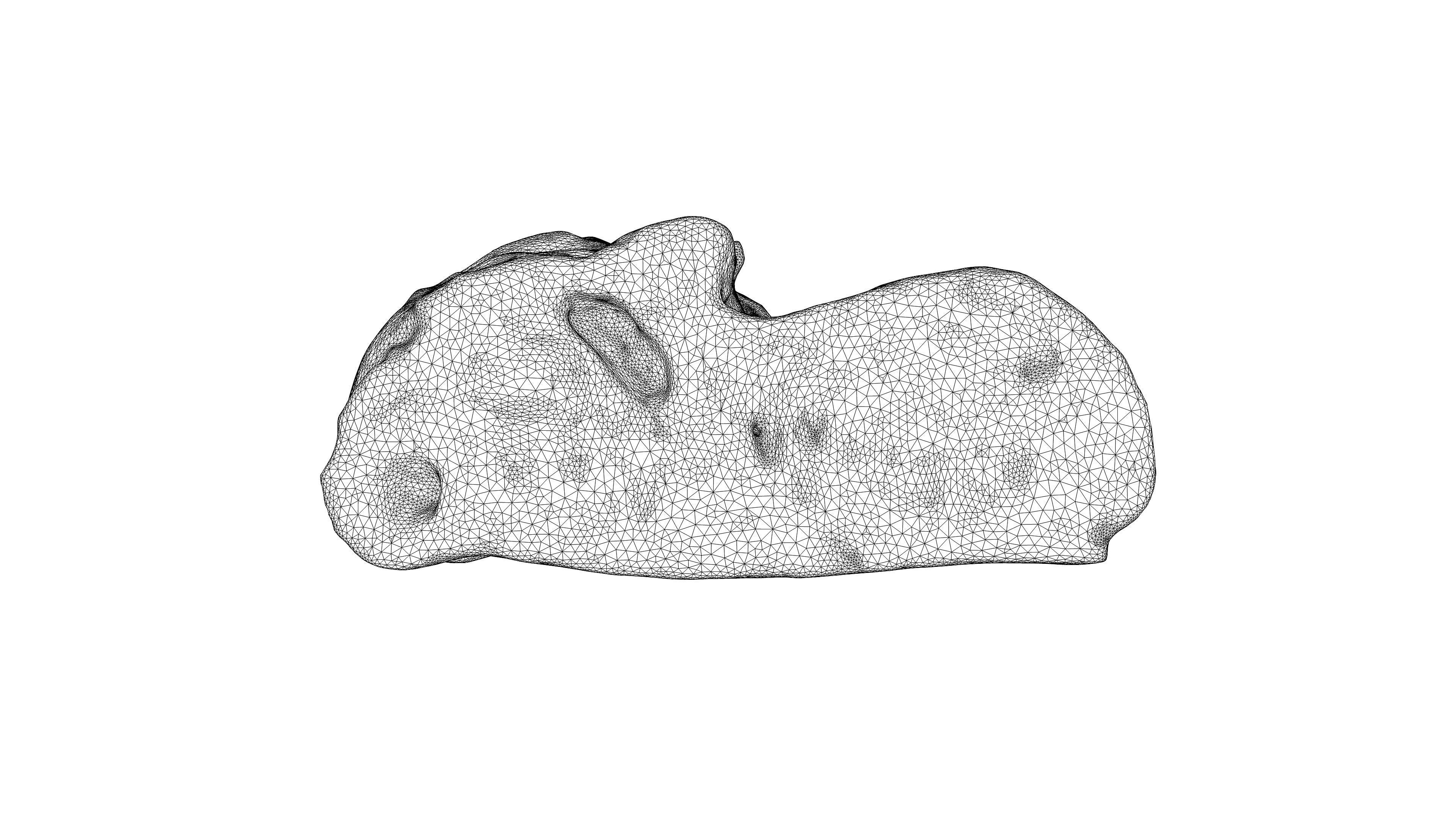 Photorealistic 3D scan of half a rye bread Low-poly 3D model_23