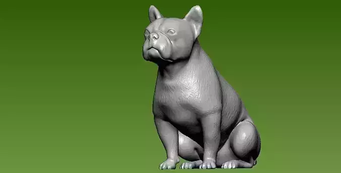 Bulldog french model - 3D print