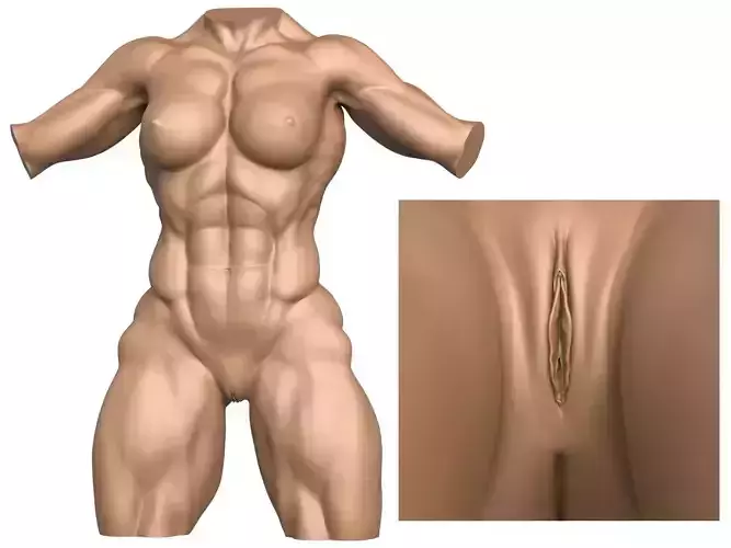 3D Print Ready Muscular Woman Torso with Vagina