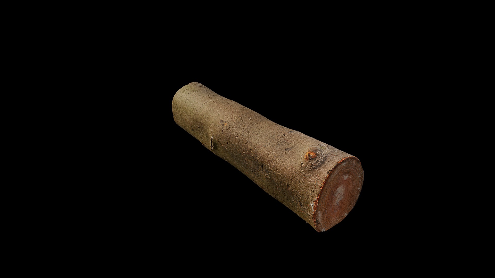 Anydrafts Log 03 Low-poly 3D model_6