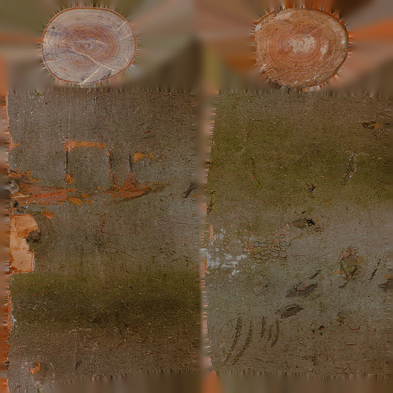 Anydrafts Log 03 Low-poly 3D model_1