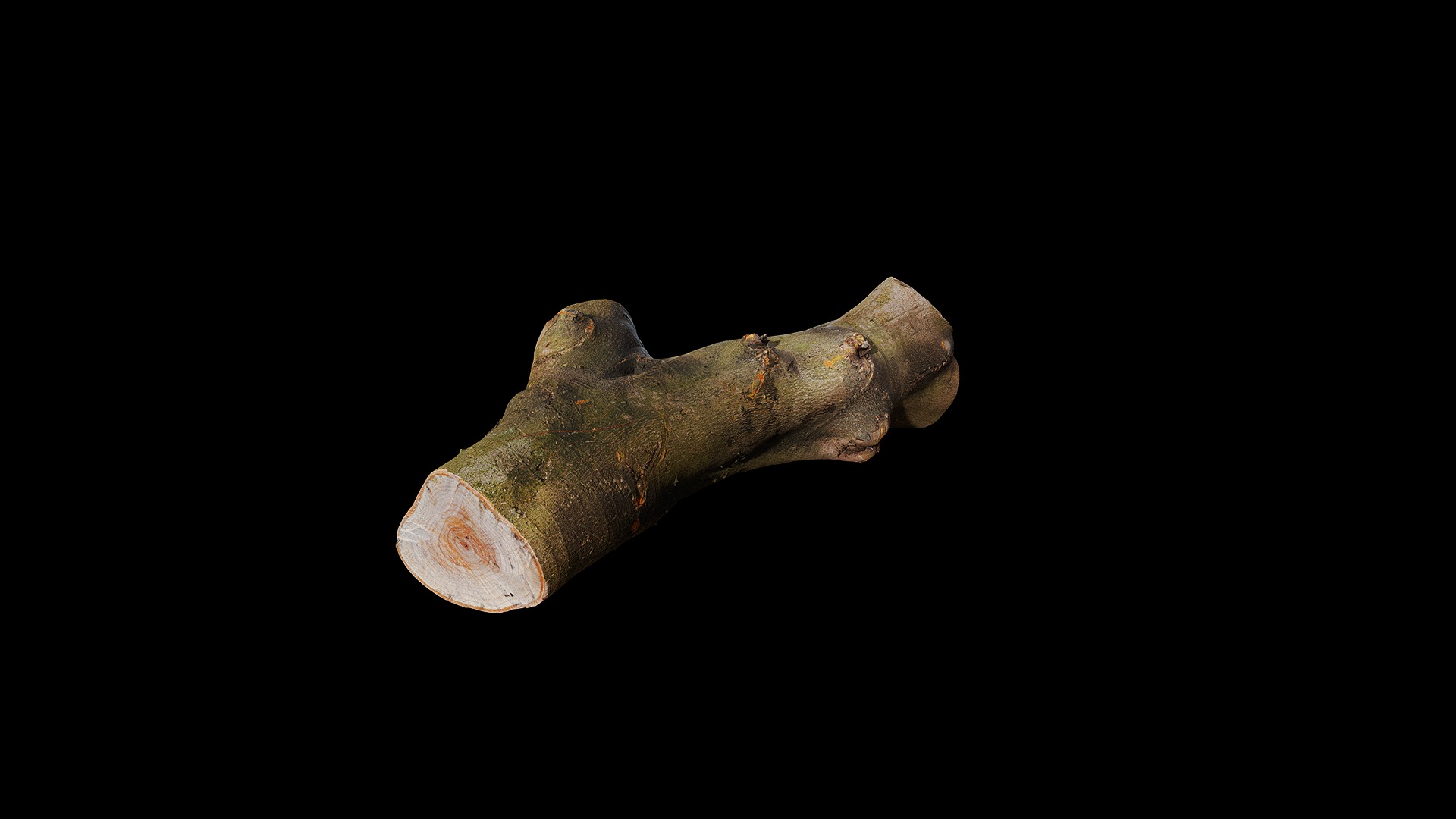 Anydrafts Log 04 Low-poly 3D model_7