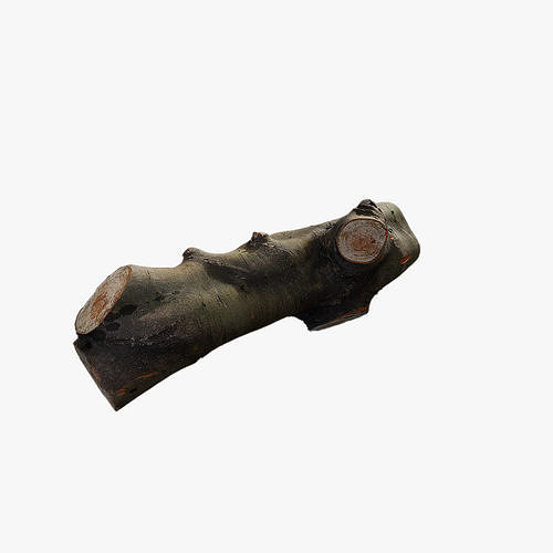 Anydrafts Log 04 Low-poly 3D model