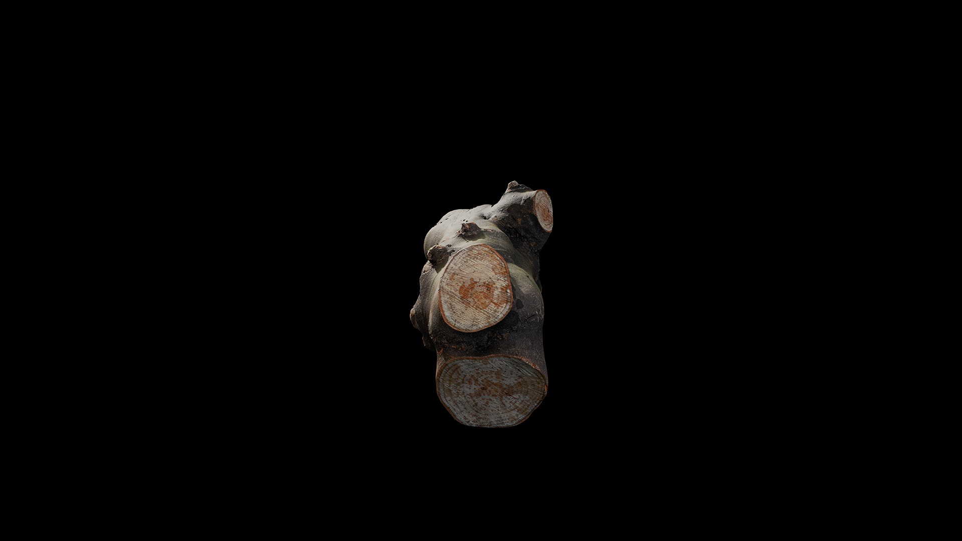 Anydrafts Log 04 Low-poly 3D model_5