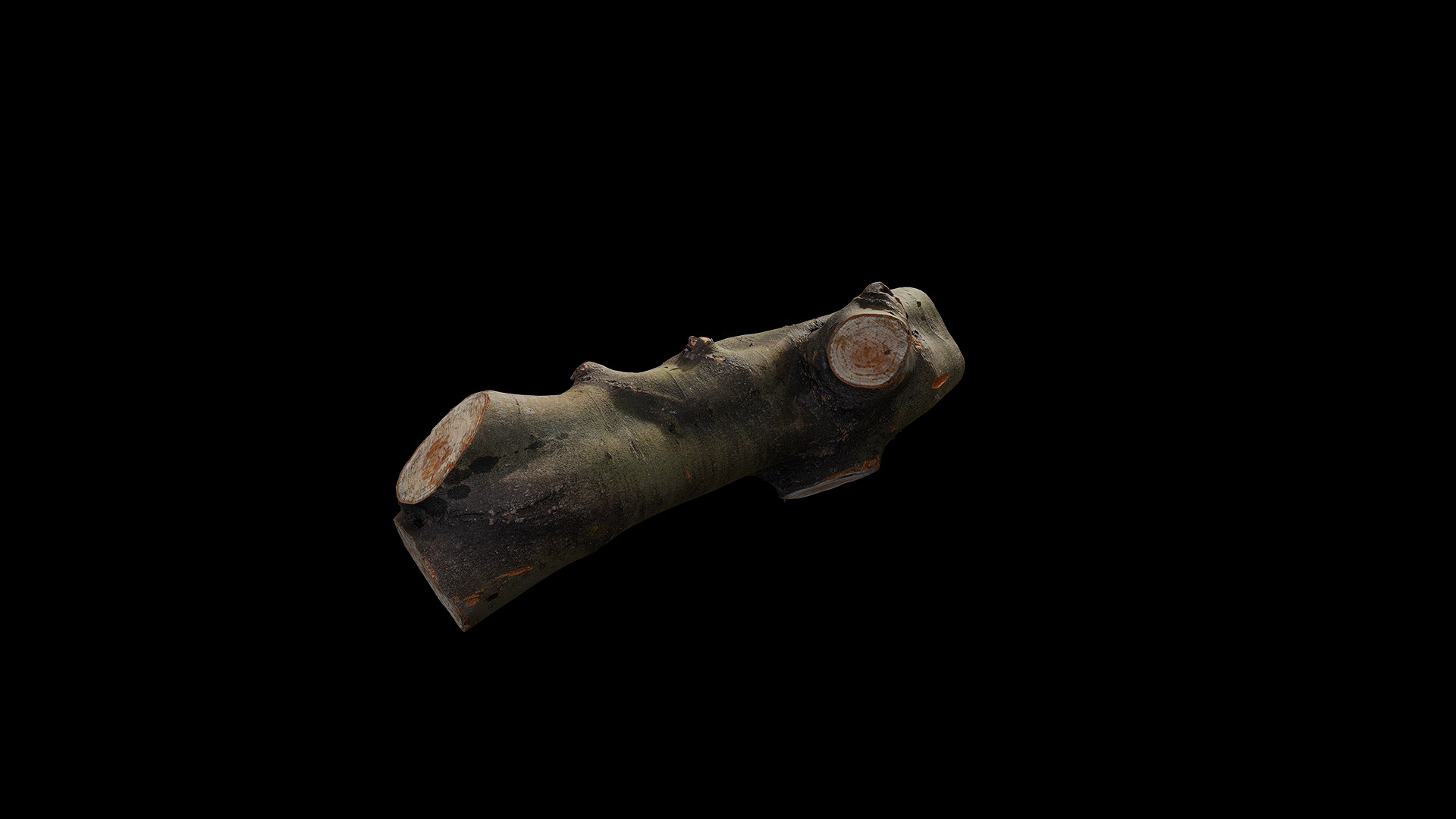 Anydrafts Log 04 Low-poly 3D model_2