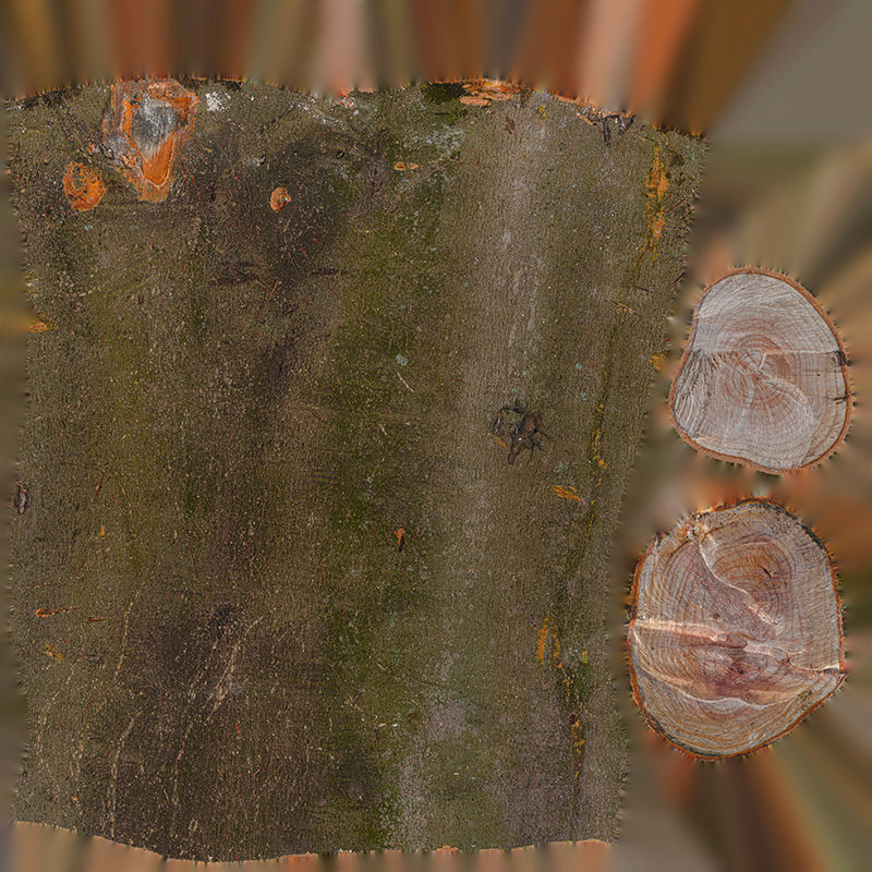 Anydrafts Log 05 Low-poly 3D model_1