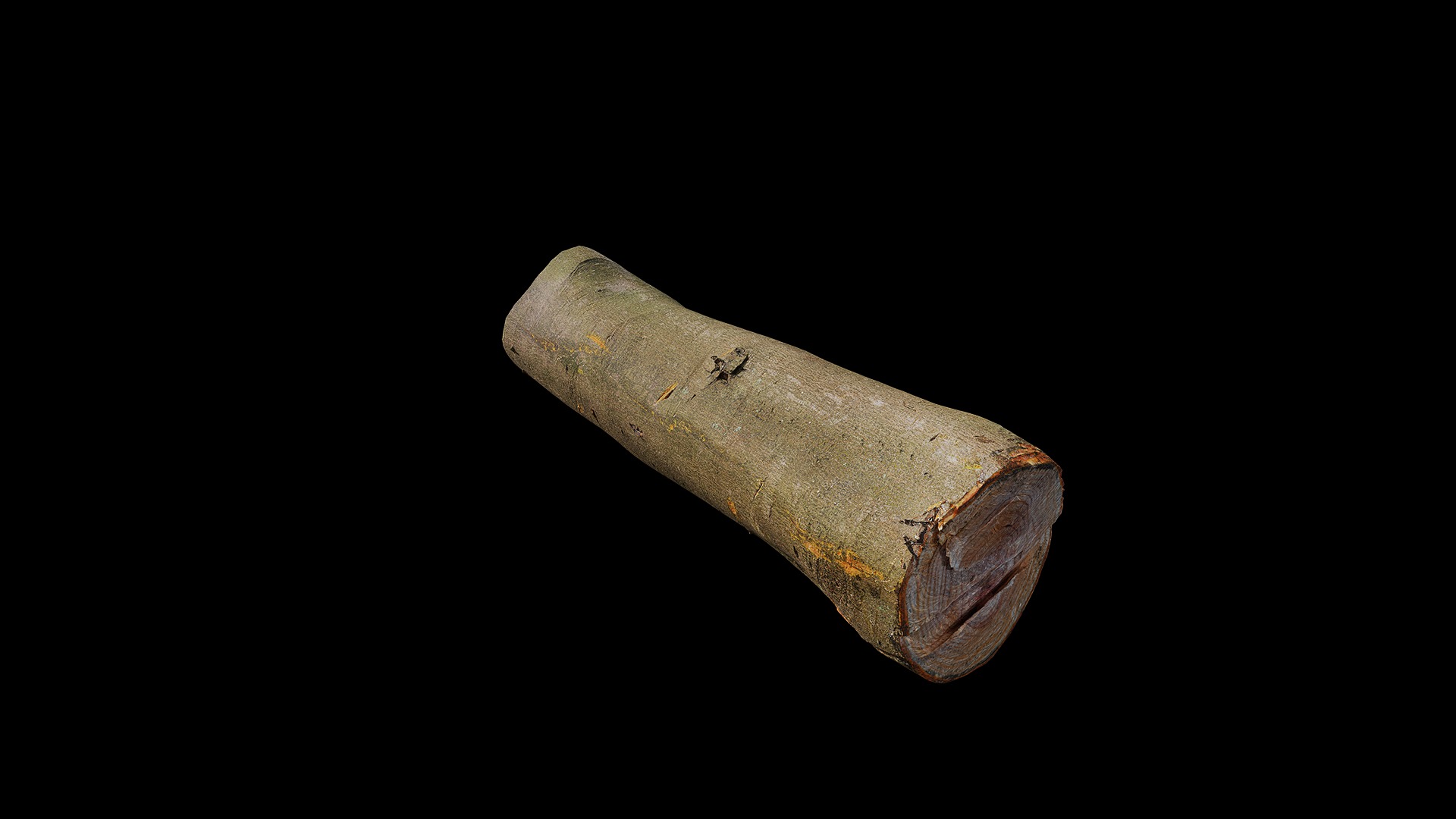 Anydrafts Log 05 Low-poly 3D model_6