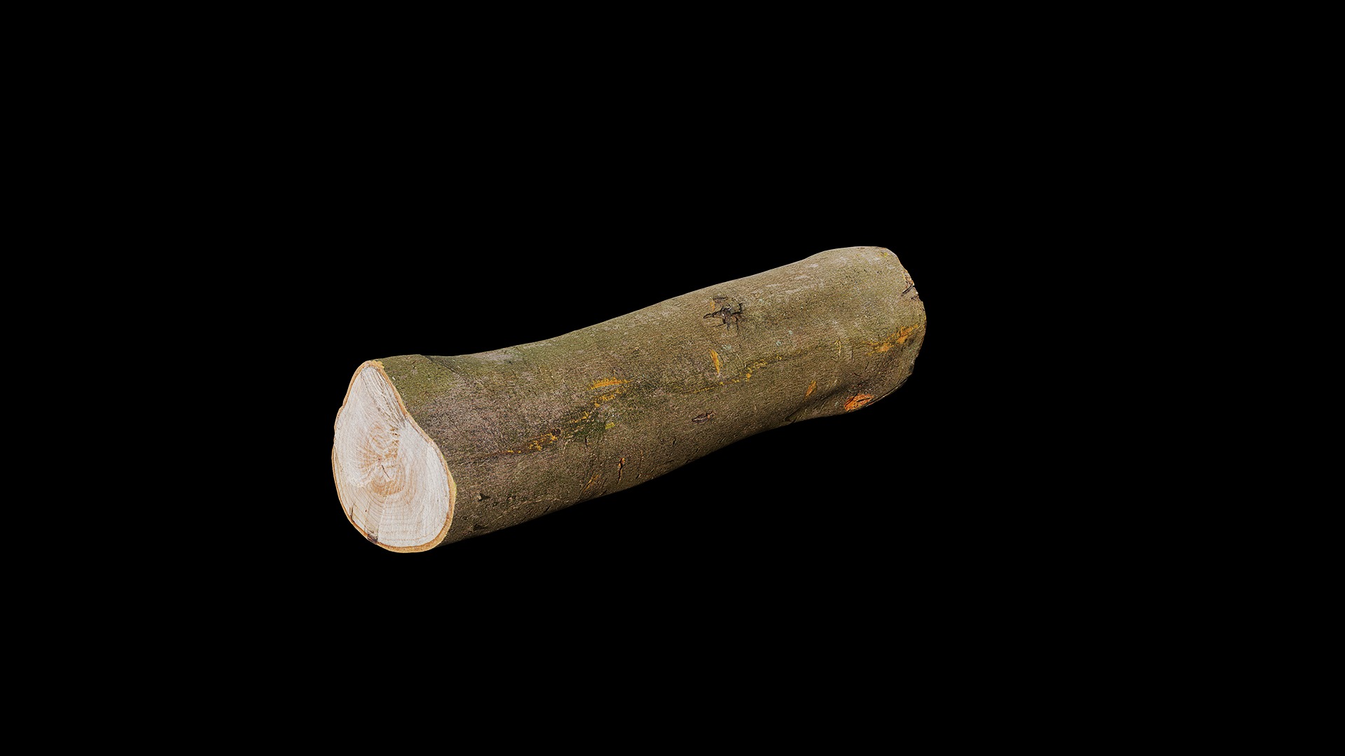 Anydrafts Log 05 Low-poly 3D model_7