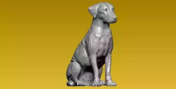 Patchy x breed Dog model - 3D print