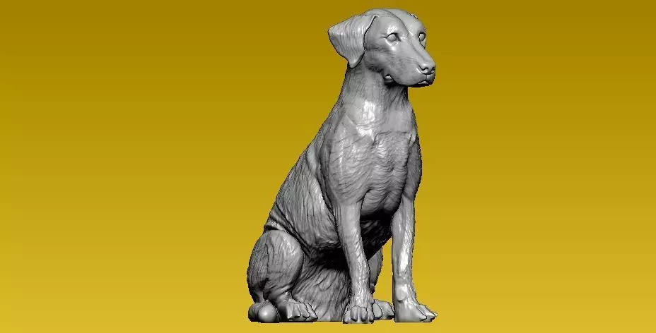 Patchy x breed Dog model - 3D print 3D print model