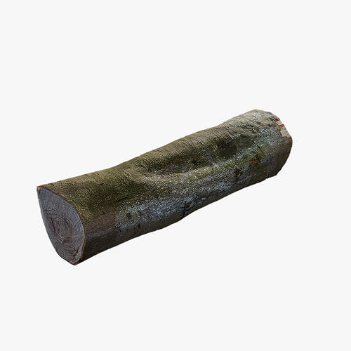 Anydrafts Log 06 Low-poly 3D model