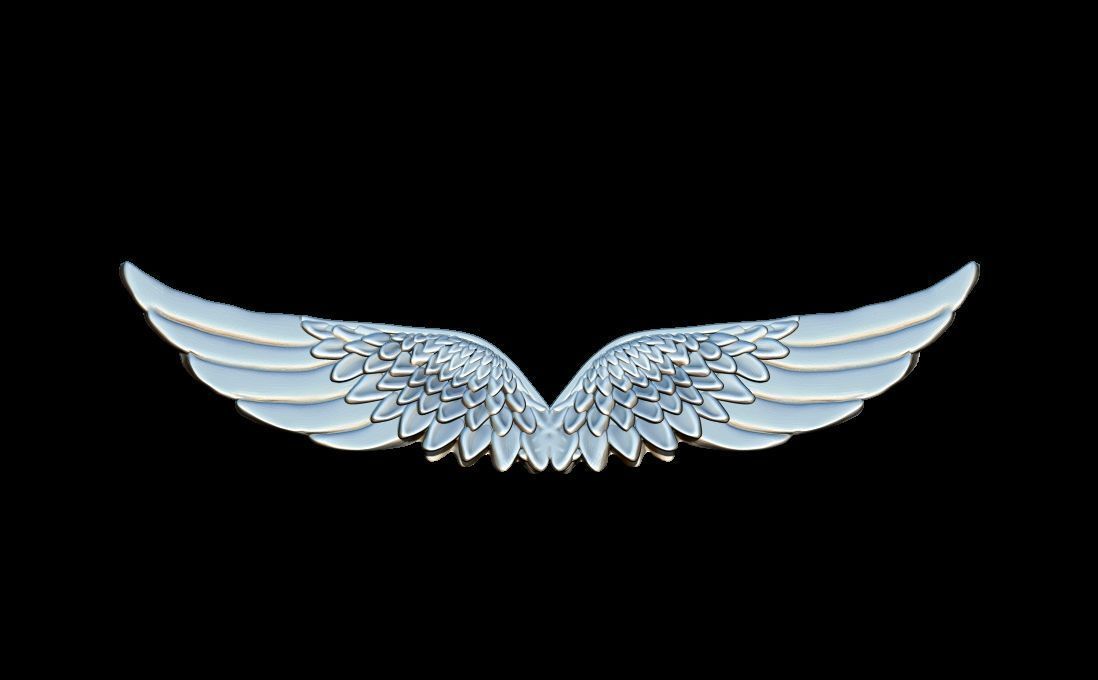 wings pendant 3D print model_1