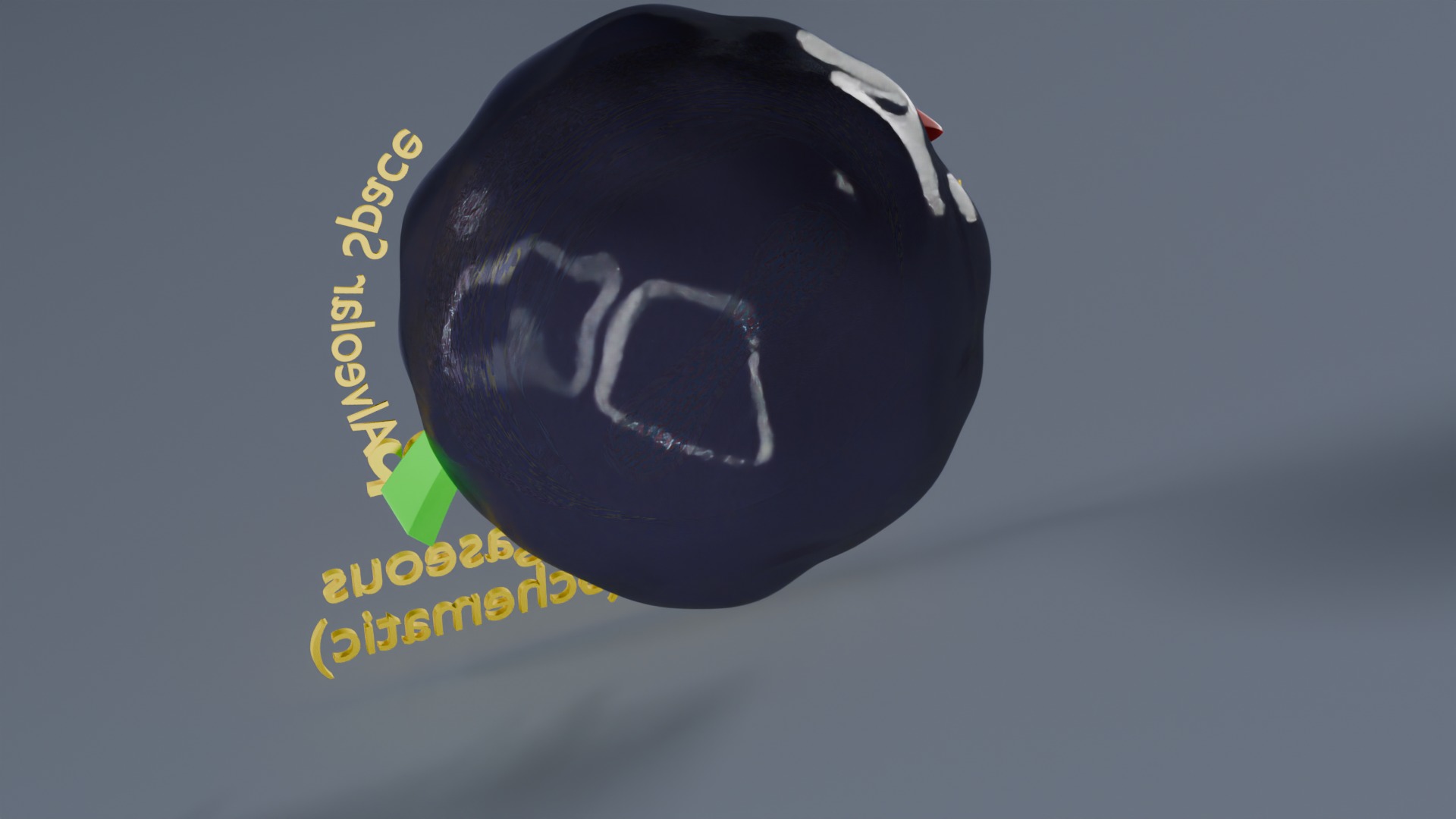 Respiratory Lung Gas Exchange Schematic Low-poly 3D model_45