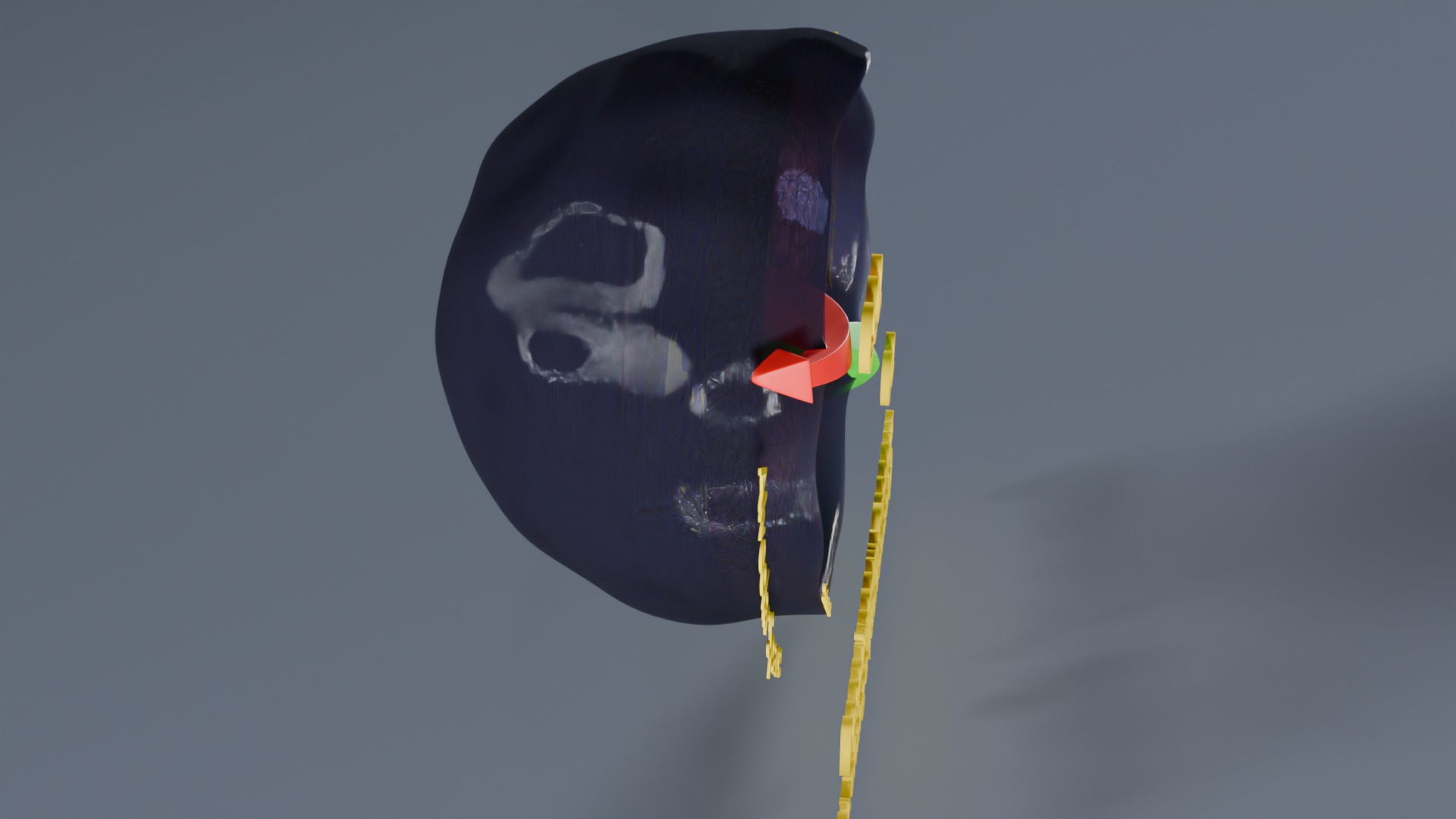 Respiratory Lung Gas Exchange Schematic Low-poly 3D model_32