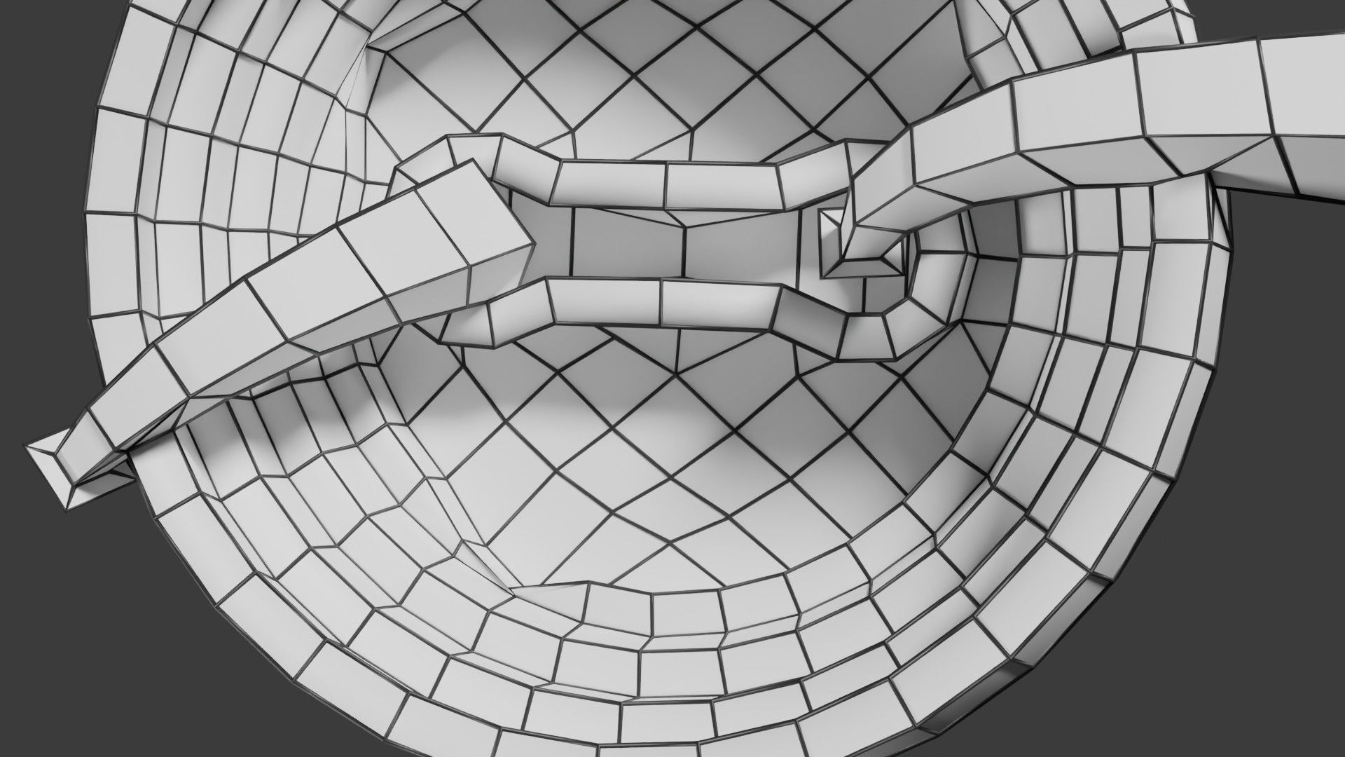 Respiratory Lung Gas Exchange Schematic Low-poly 3D model_31