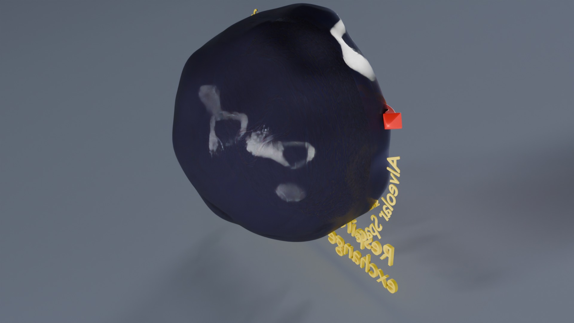 Respiratory Lung Gas Exchange Schematic Low-poly 3D model_37