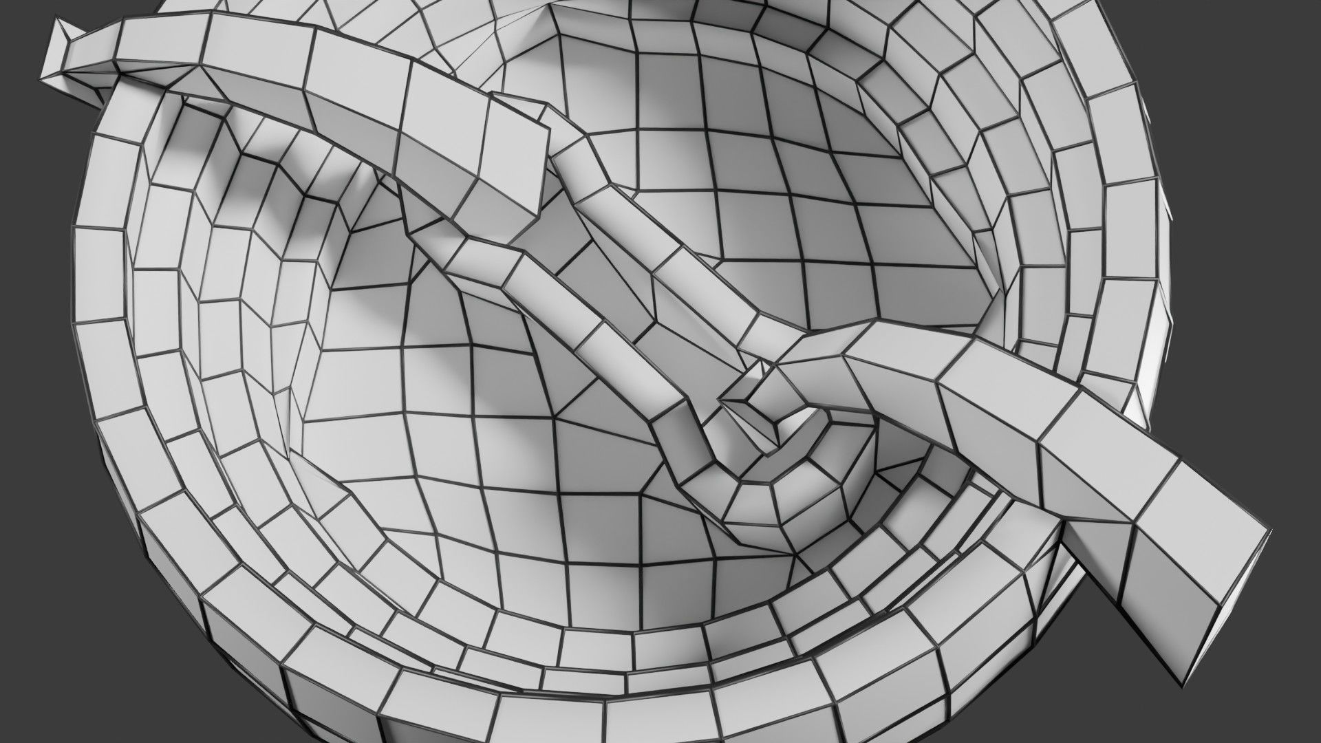 Respiratory Lung Gas Exchange Schematic Low-poly 3D model_27