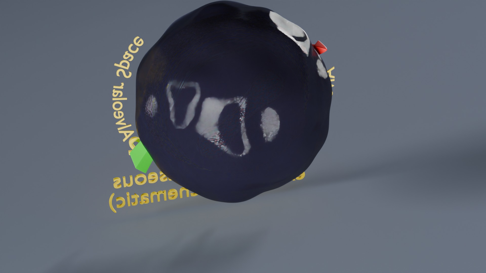 Respiratory Lung Gas Exchange Schematic Low-poly 3D model_44