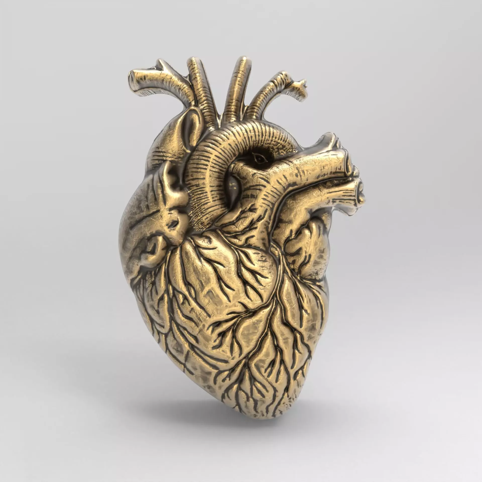Anatomical Heart 3D Model for 3D Printing and CNC Carving 3D print model_0