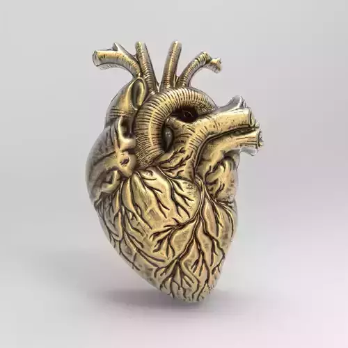 Anatomical Heart 3D Model for 3D Printing and CNC Carving