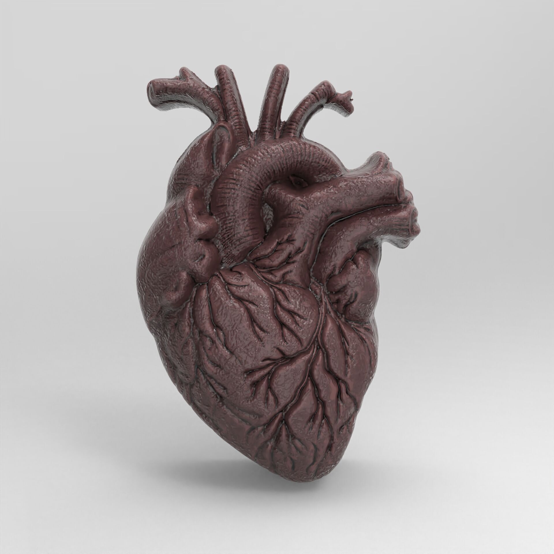 Anatomical Heart 3D Model for 3D Printing and CNC Carving 3D print model_2