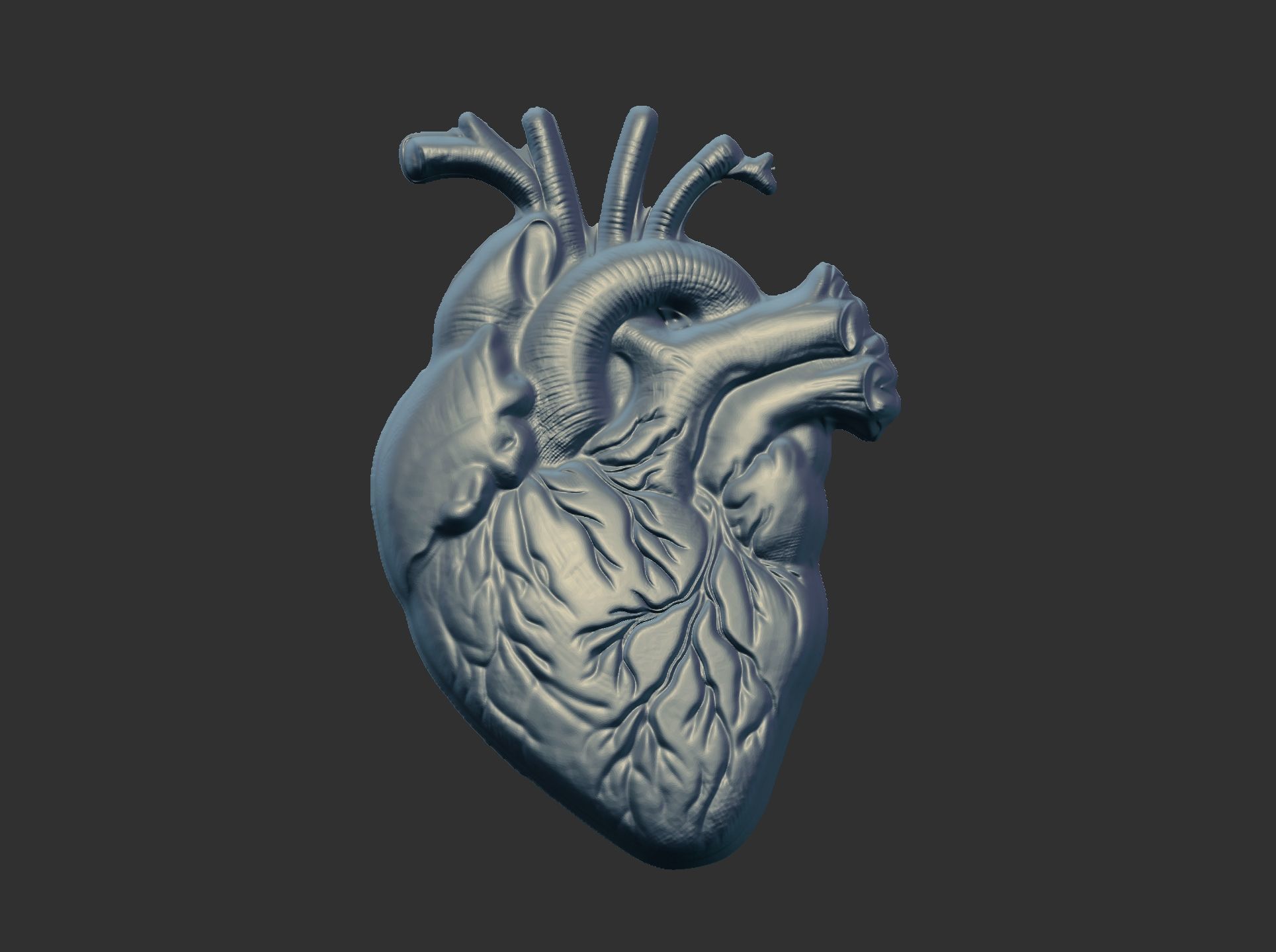 Anatomical Heart 3D Model for 3D Printing and CNC Carving 3D print model_3