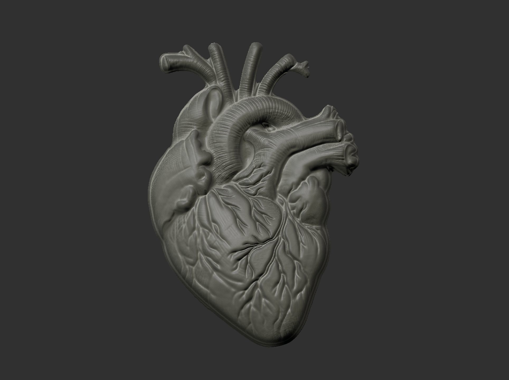 Anatomical Heart 3D Model for 3D Printing and CNC Carving 3D print model_7