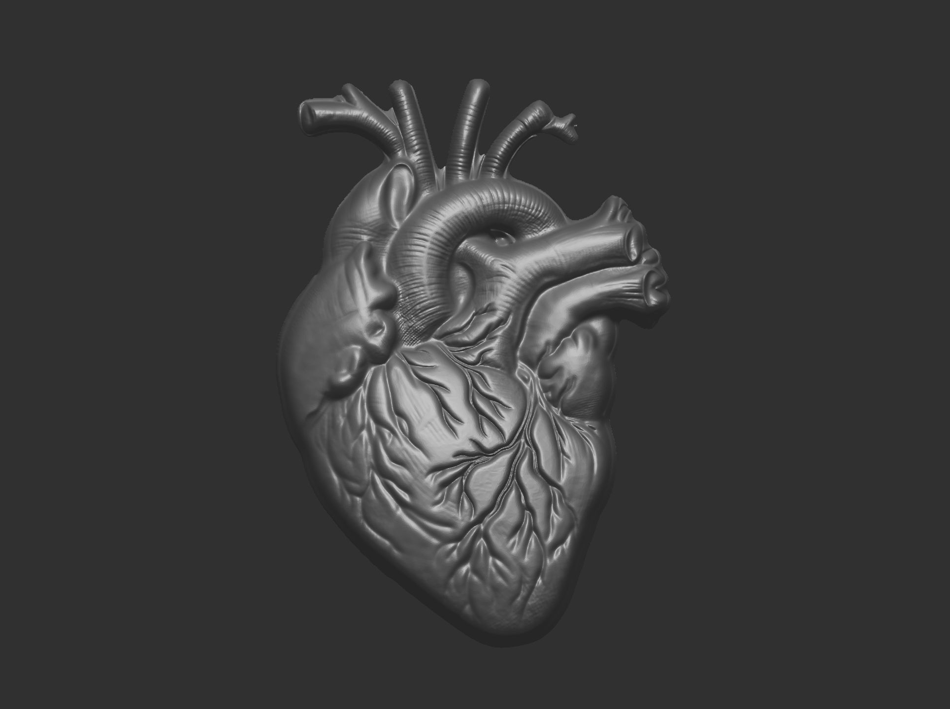 Anatomical Heart 3D Model for 3D Printing and CNC Carving 3D print model_6