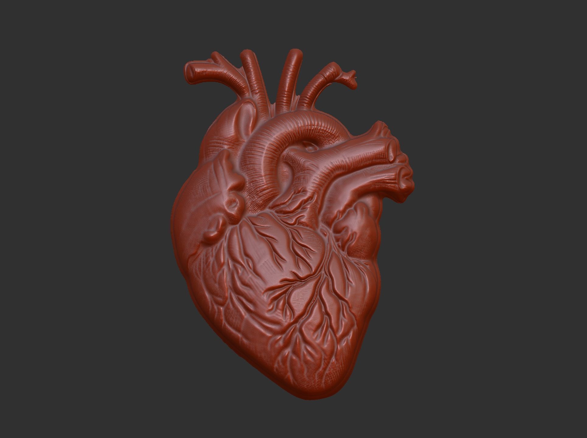 Anatomical Heart 3D Model for 3D Printing and CNC Carving 3D print model_5