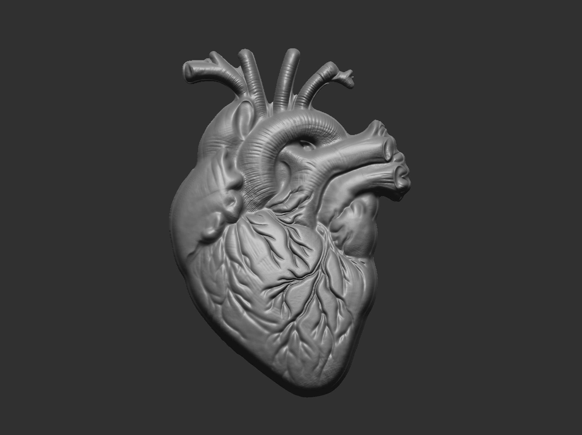 Anatomical Heart 3D Model for 3D Printing and CNC Carving 3D print model_4