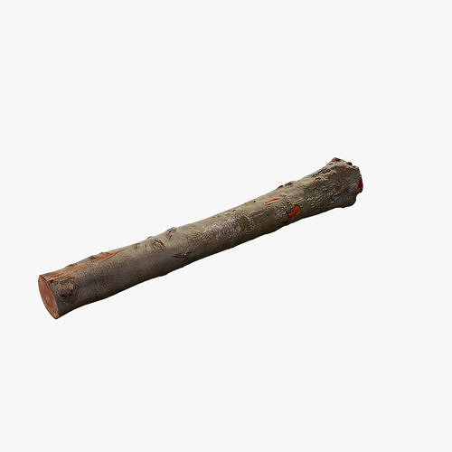 Anydrafts Log 08 Low-poly 3D model