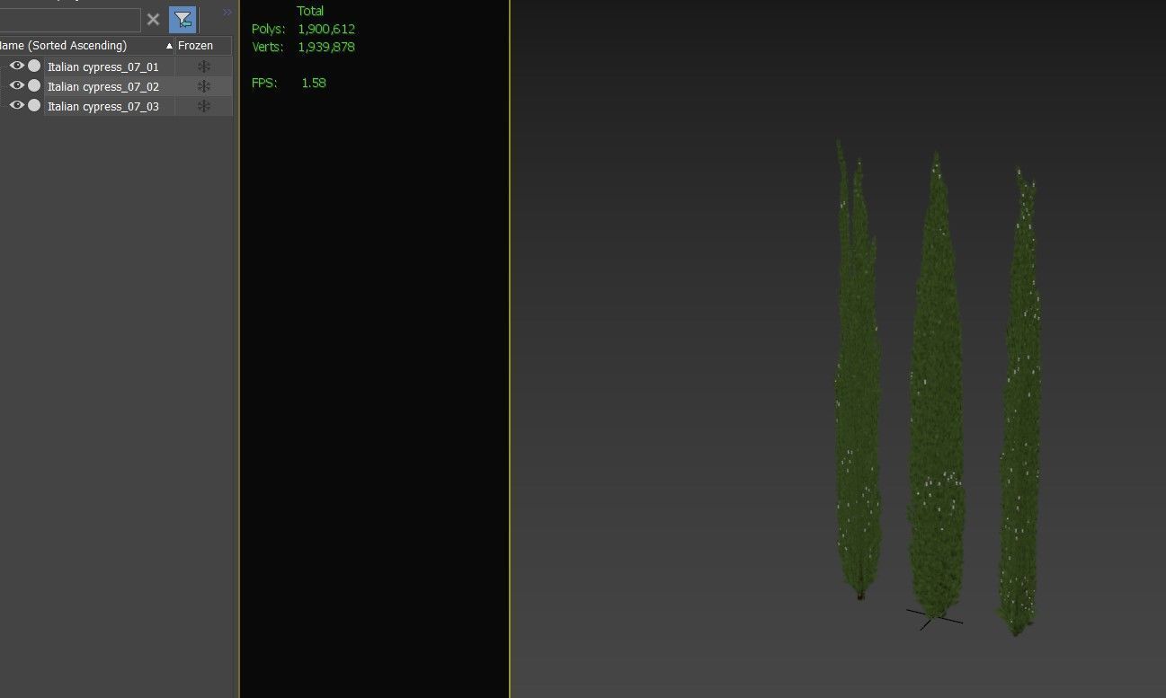 Italian Cypress 07 3D model_5