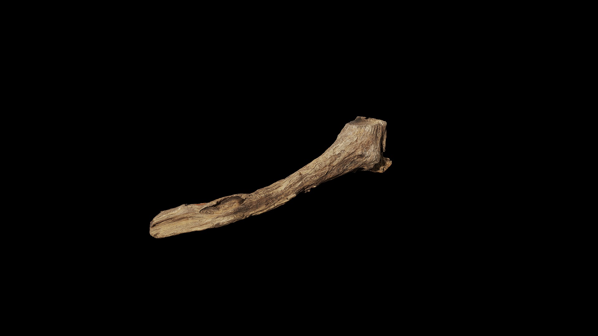 Anydrafts Log 21 Low-poly 3D model_7