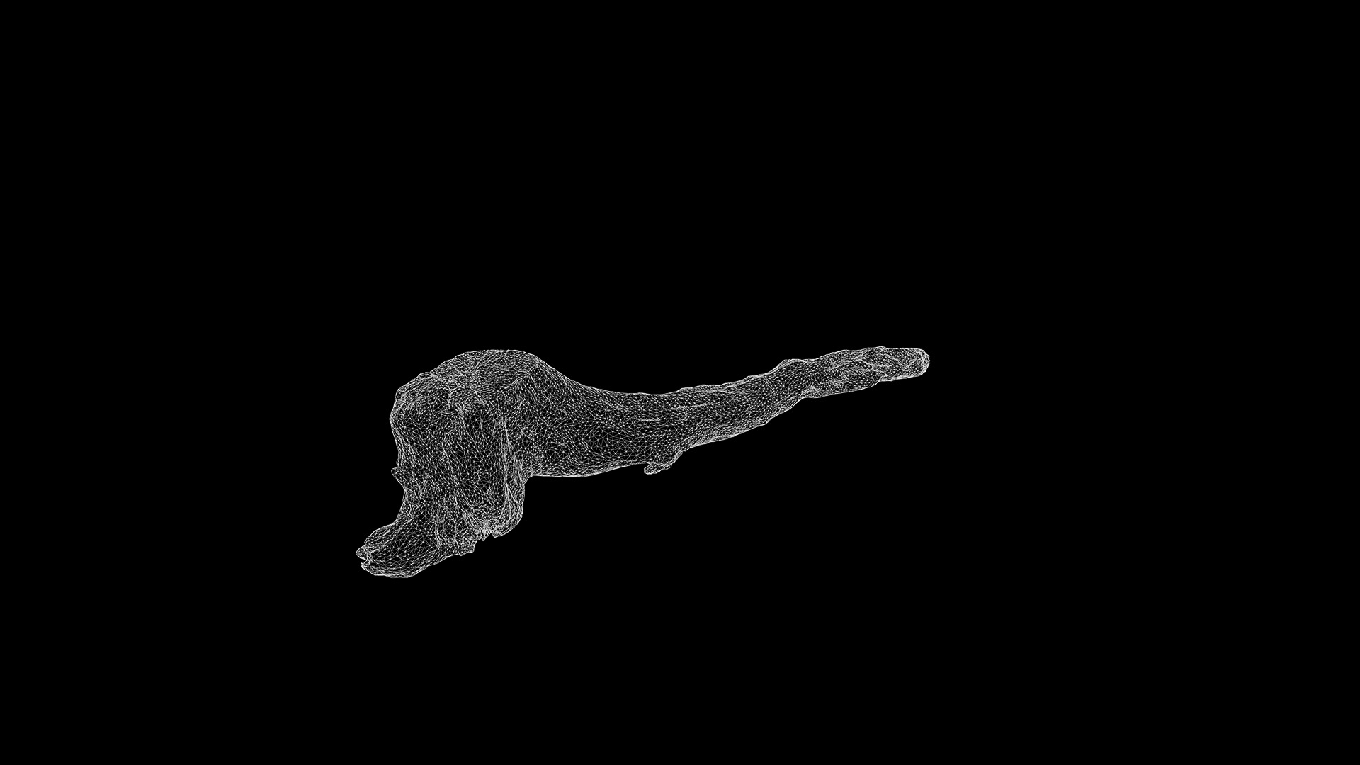 Anydrafts Log 21 Low-poly 3D model_3