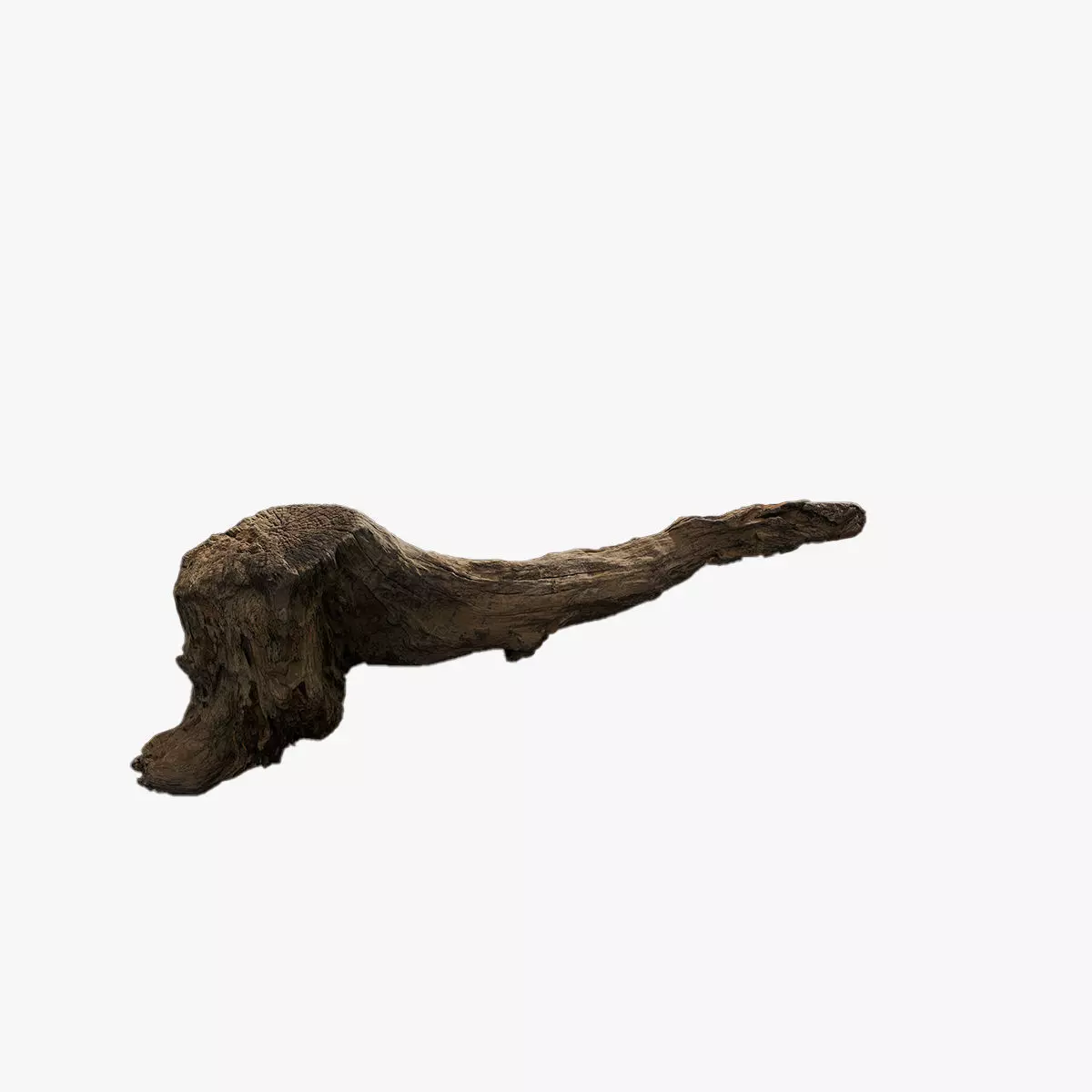 Anydrafts Log 21 Low-poly 3D model_0