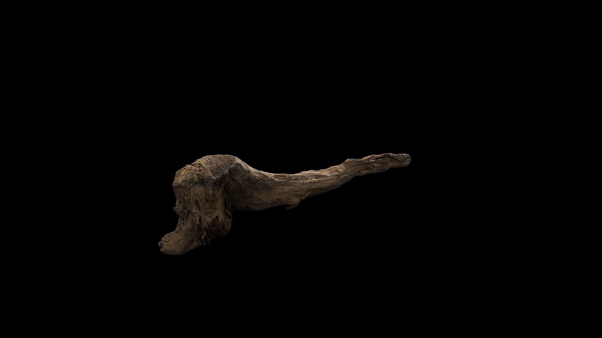 Anydrafts Log 21 Low-poly 3D model_2