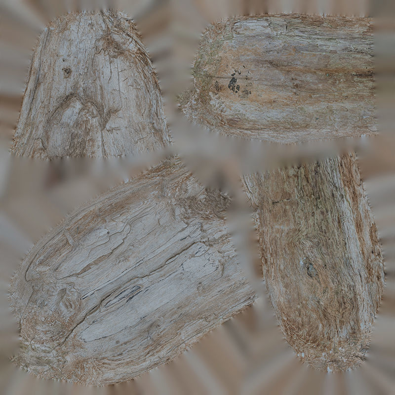 Anydrafts Log 23 Low-poly 3D model_1