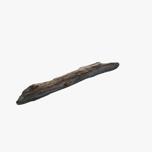 Anydrafts Log 24 Low-poly 3D model